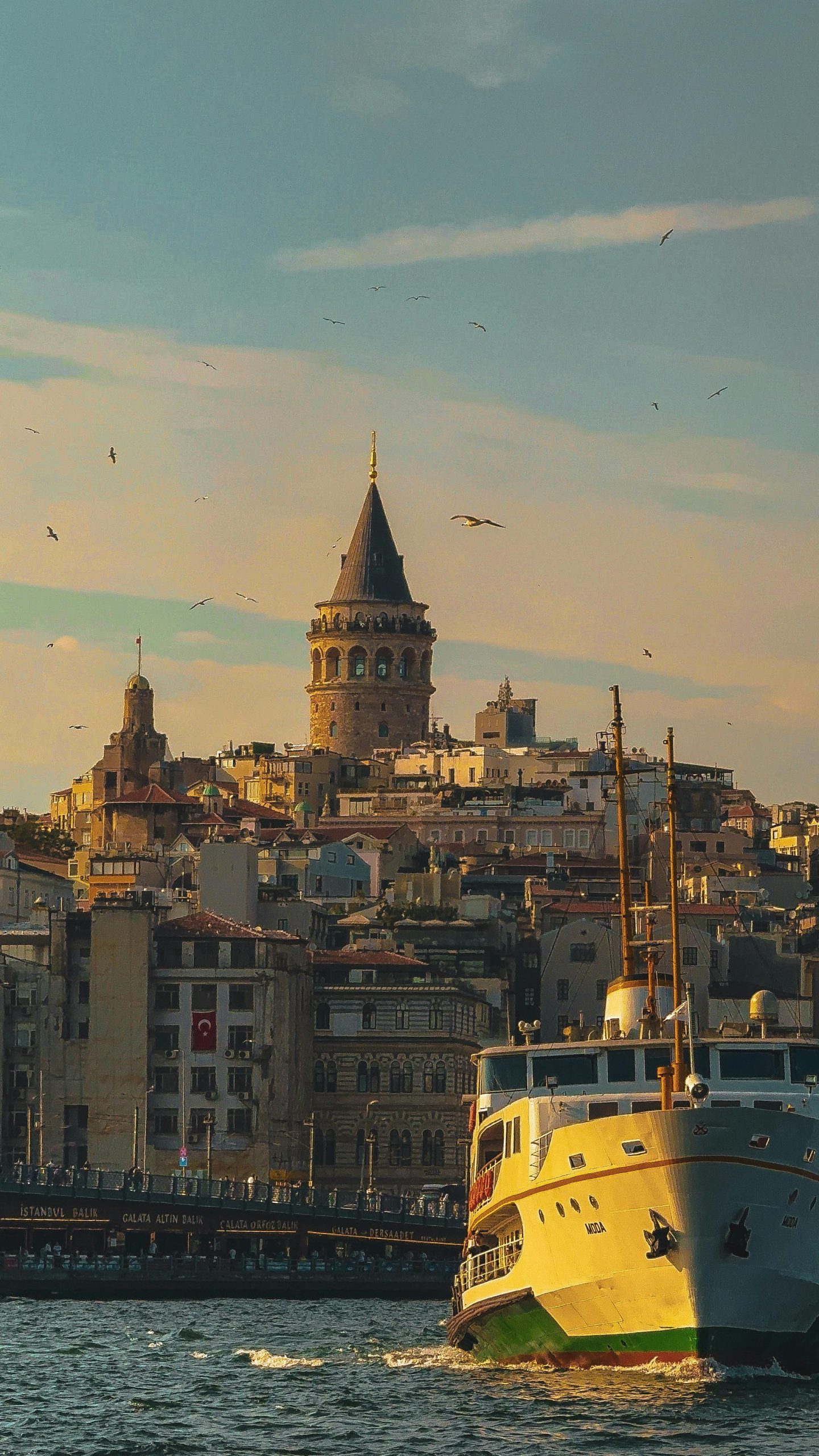 pexels metincengiz 33068850